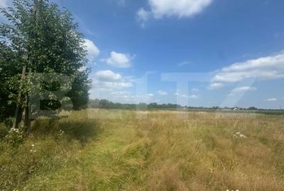 Teren de 5041 mp, în Central