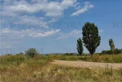 Teren de 4800 mp, în Țânțăreni - 13