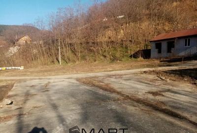Teren de 7432 mp, în Săsciori - 7