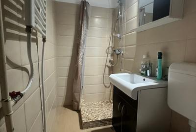 450Euro, bd Ion Mihalache(Domenii), mobilat, utilat - 8
