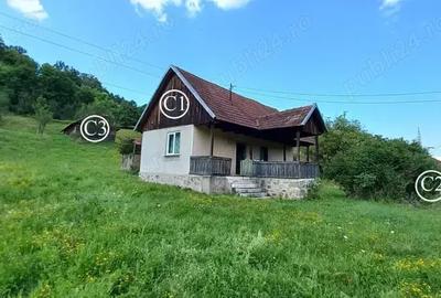 Vand Proprietate (casa, ?ura ?i teren) in Valea Bradului, Mun. Brad, Jud. Hunedoara - 1