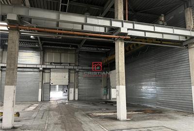 Depozit/hala/spatiu industrial Militari - Timisoara - 2