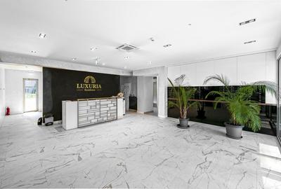 Apartament cu 2 camere decomandat, mobilat în Domenii - 4