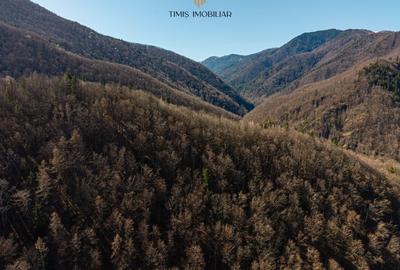 Teren agricol intravilan de 738 mp, în Poiana Mărului - 13