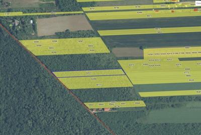 Teren Construcții intravilan de 4701 mp, în Snagov