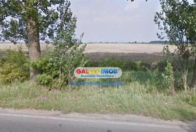 Teren la Drum Judetean Stefanesti Dascalu 13900 mp - 2