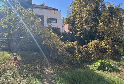 Vila istorica la 2 minute de Charles de Gaulle | Primaverii - 4