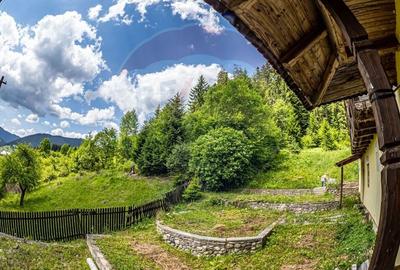 Casă individuală cu 20 camere cu Teren 10330 Mp în Central - 21