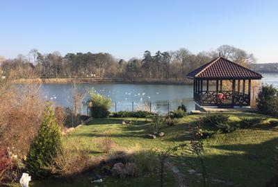 Mogosoaia,vila robusta cu vedere spectaculoasa catre lac,palat,parc,1750mp teren - 21