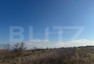 Teren extravilan 1700 mp, zona Archia - 1