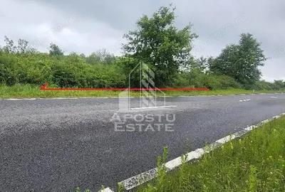Teren de 8600 mp, în Cuied - 1