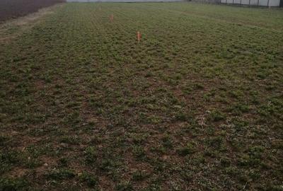 Teren de vanzare Harman - 2