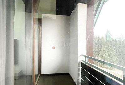 Complex Silver Mountain - 17