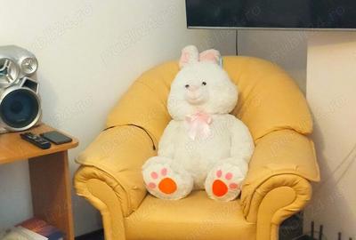 Apartament cu 2 camere decomandat în 9 Mai - 8