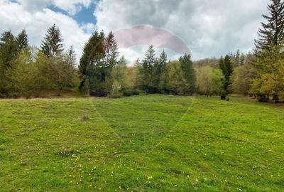 Teren agricol extravilan de 2800 mp, în Central - 11