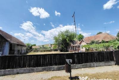 Casă cu 3 camere cu Teren 2240 Mp în Raciu - 12