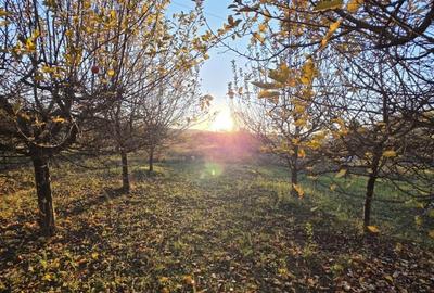 CASĂ P+E+M, 2340 mp teren - VALEA MĂRULUI - 17