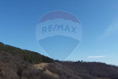 Teren agricol de 4700 mp, în Pianu - 1