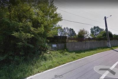 Teren de 2801 mp, în Provița de Jos - 7