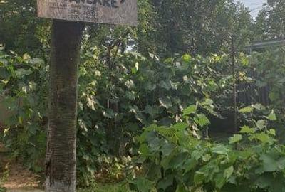 Casă cu 4 camere cu Teren 2500 Mp în Drăgășani - 11