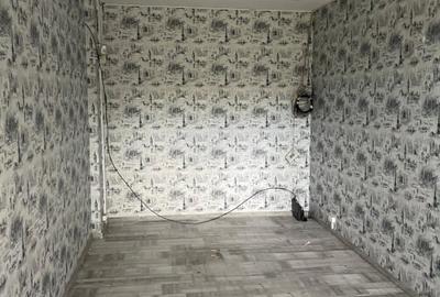 Spatiu Comercial Bdul Ghencea -18 mp 700 Euro - 4