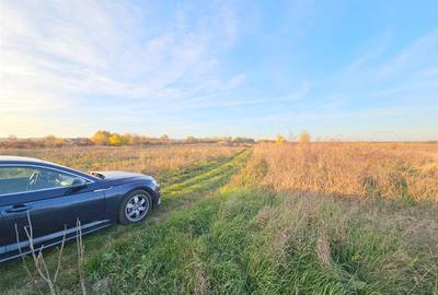 Teren agricol extravilan de 10000 mp, în 9 Mai - 5