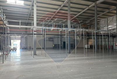 Hala de inchiriat - zona Calea Clujului, Oradea - 3
