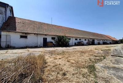 Spațiu industrial, de 695 mp, în Giulvăz - 12