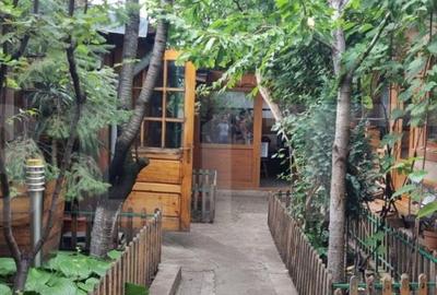 Casă cu 6 camere cu Teren 304 Mp în Dorobanțul