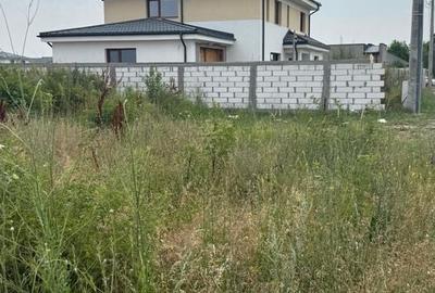 TEREN VIDRA BERCENI 307 MP - 2