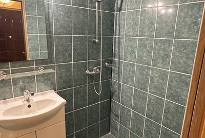 Garsonieră semidecomandată, mobilată în Vasile Aaron - 9