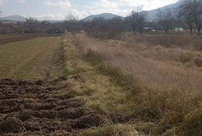 Teren de 2000 mp, în Brănișca - 6