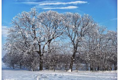 Spațiu comercial, în Frumușani - 5
