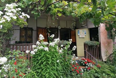 Casă cu 2 camere în Central - 1