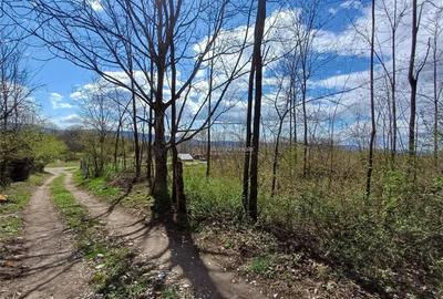 Resita, Teren Intravilan Langa Oras, 5265 Mp., 6,6 Euro Mp., Km. 7 - 6