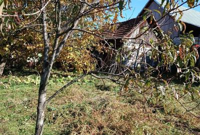 Casă cu 3 camere în Târnova - 5