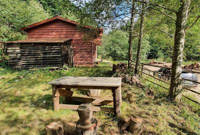 Casă cu 3 camere în Central - 12