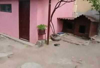 Casă cu 1 camere cu Teren 170 Mp în Elisabetin - 1