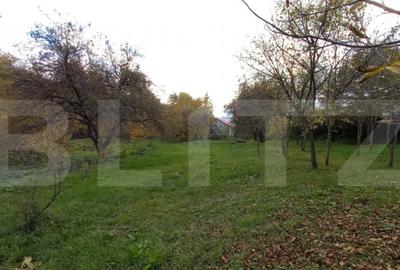 Teren de 1000 mp, în Ciurila - 1