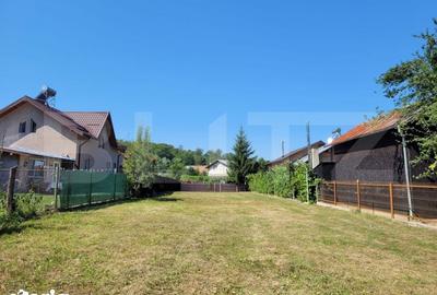 Teren de 1845 mp, în Ocnița - 3