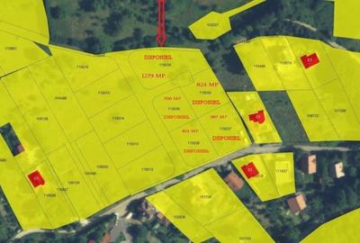 Teren Construcții intravilan de 706 mp, în Cisnădioara