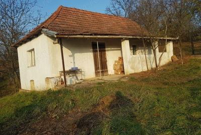 Casă în Șișterea - 5