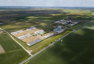 Teren Intravilan Investi?ii 11.600 mp Salonta - 6