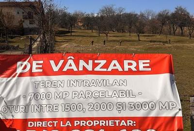 Teren de 10660 mp, în Bran - 1