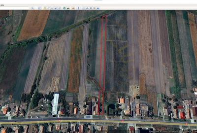 Terenuri intravilane 4.454 mp Drum DN 1F - Loc. Ghenci - Jud. Satu Mare - 6