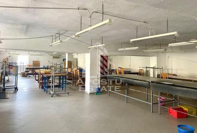 Spatii productie si depozitare, zona Sebis - Prunisor-Carand - 10