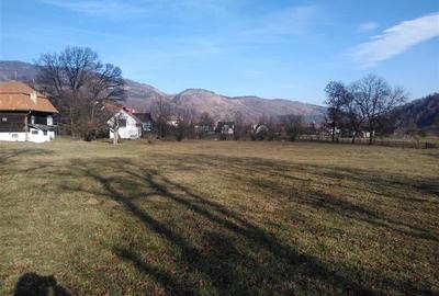 Vanzare teren Moeciu - Brasov - 6000 mp - 3