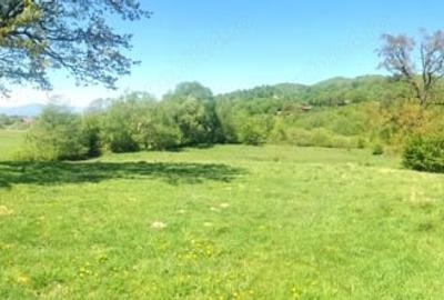 Teren de 25500 mp, în Cheile Râșnoavei - 7