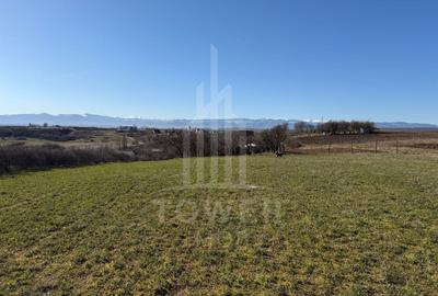 Teren agricol intravilan de 1670 mp, în Central - 3