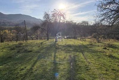 Teren Intravilan 1,2 Hectare cu Cert Urbanism,Sat Tisieu,Com. Ibanesti - 5